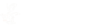 半岛（中国）智能